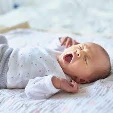 Bebe