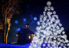Sapin